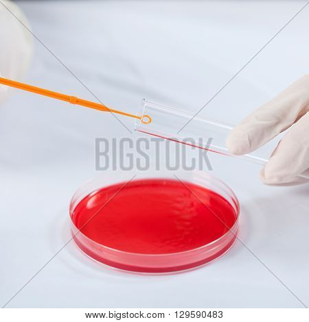 Experimenting In A Laboratory