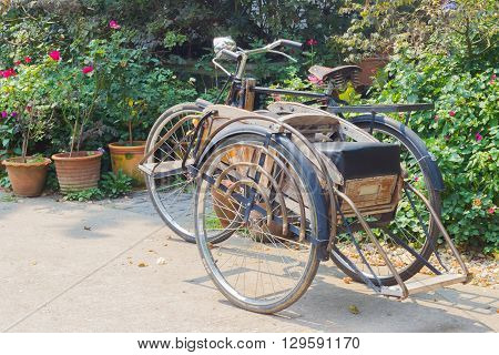 CHIANG RAI THAILAND - APRIL 25 : classic wheeler Tricycle bicycle in the fresh garden on April 25 2016 in Chiang rai Thailand