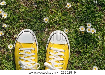 Yellow Sneakers In A Dasiy Field