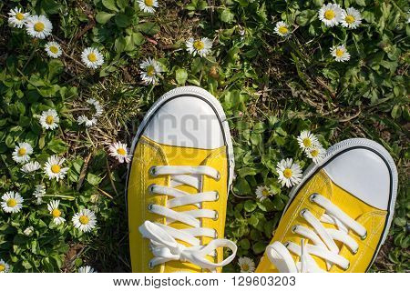 Yellow Sneakers In A Dasiy Field