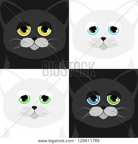 Four cats muzzle in a cartoon style
