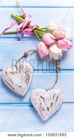 Tender white and pink spring tulips and two decorative hearts on blue wooden background. Pastel colors. Shubby chic. Selective focus. Toned image.