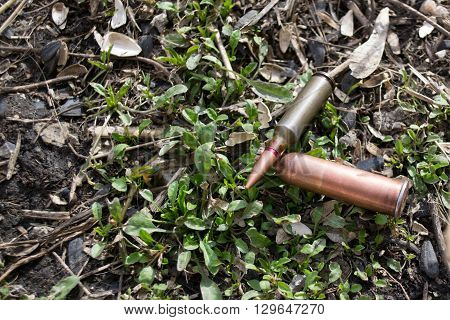 New grass grows through the cartridges. The end of the war.