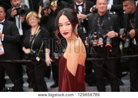 Nicole Warne attends the 'Slack Bay (Ma Loute)' premiere during the 69th annual Cannes Film Festival at the Palais des Festivals on May 13, 2016 in Cannes, France. 