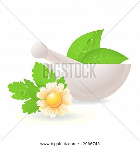 Mortaio con erbe e camomilla.
