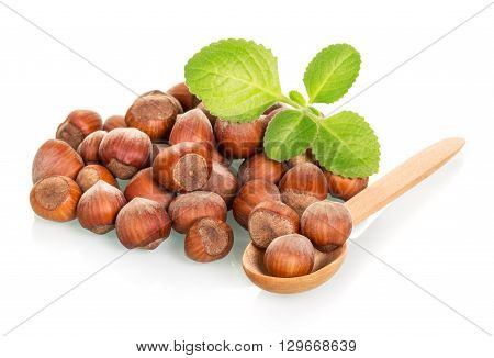 Hazelnut and fresh mint leaves isolated on white background
