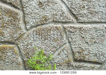 Old stone wall with grass in the background