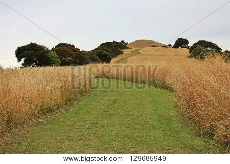 Onawe place on the Banks Peninsula New Zealand. Plug in the centre of an old volcano.