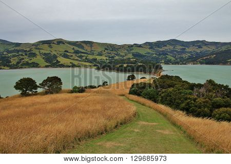 Landscape on the Banks Peninsula New Zealand. Onawe centre of a old volcano.