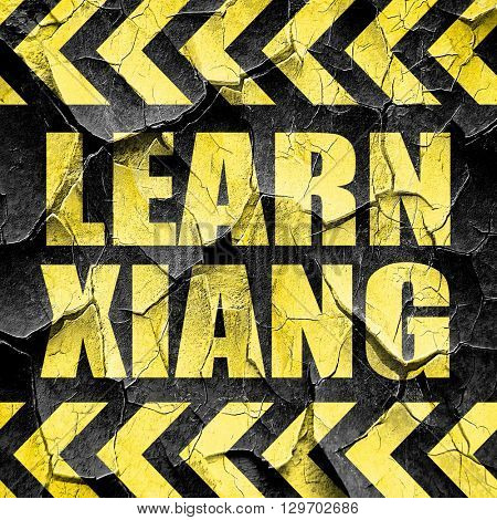learn xiang, black and yellow rough hazard stripes