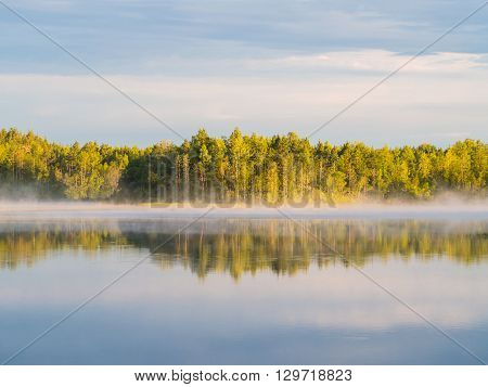 morning mist and reflections on the forest lake