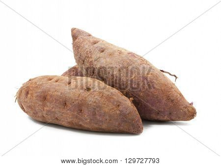 tapioca plants cassava closeup isolated on white background
