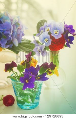 Colorful violets and pancies cut flowers in vases on white table, retro toned