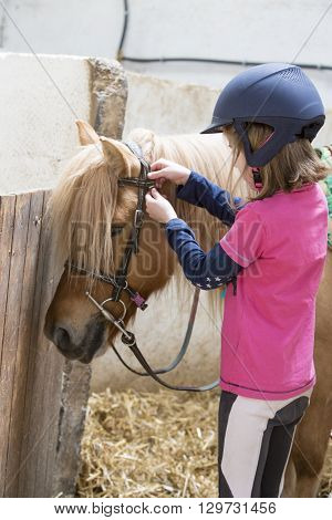 pretty young teenage girl preparing taking care horse poney