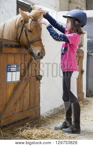pretty young teenage girl preparing taking care horse poney