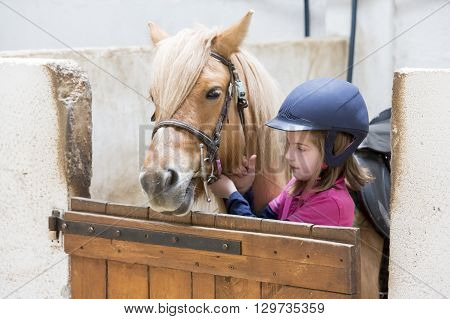 pretty young teenage girl preparing taking care horse poney