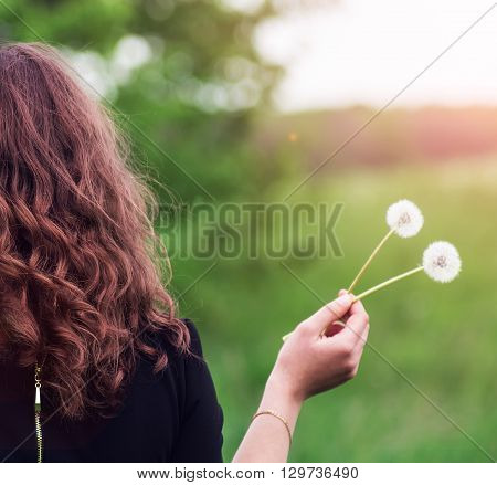 Girl With A Dandelion In The Hand