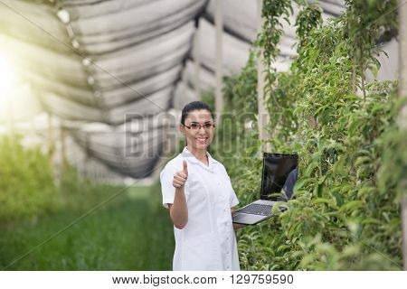 Woman In Apple Orchard