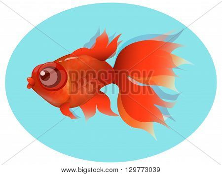 goldfish, red fin and tail, gold squama on blue background