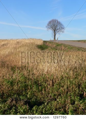 Campagna Idiallic scena
