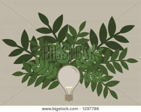 Lightbulb7