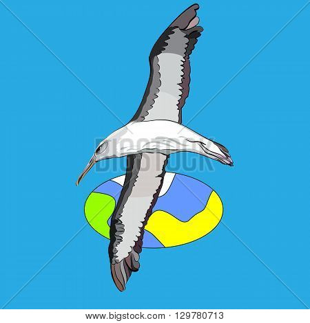 vector illustration of a gliding sea bird around the globe