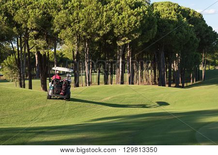 couple in buggy cart on golf course