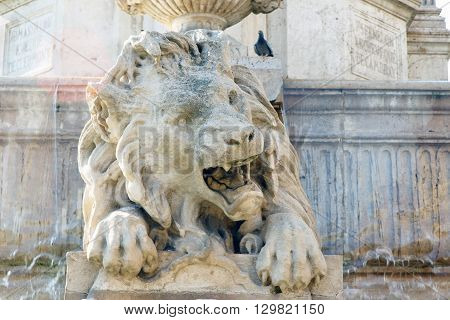 Carved stone lion in the fountain in the plaza fronting the Church of Saint Sulpice, Paris, France.