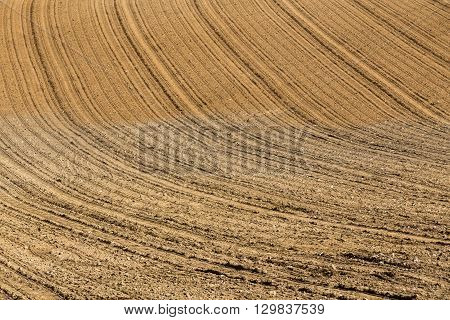 Beautiful Summer Rural Landscape Lines