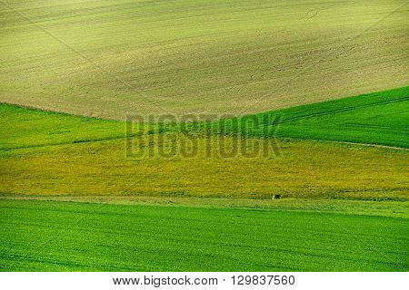 Beautiful Green Spring Rural Landscape