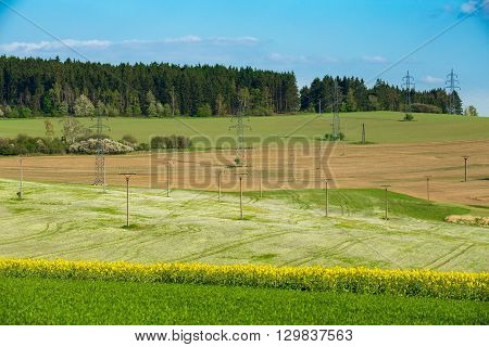Beautiful Summer Rural Landscape
