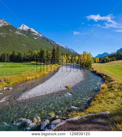 The stream among green and yellow grass lawns. Delightful park Banff in the Rocky Mountains of Canada