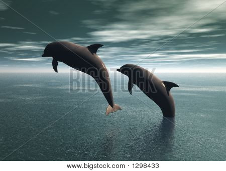 Delfines jugando