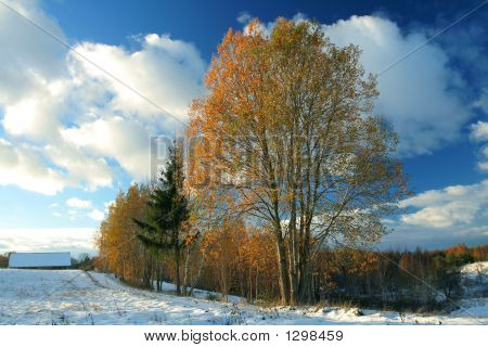Reunión de invierno otoño