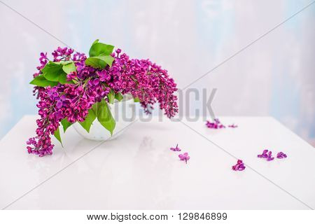 Bouquet of lilacs in a vase on a white table
