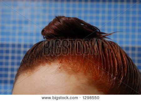 Hoved