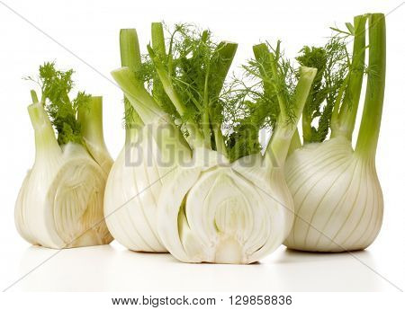 Fresh fennel bulb isolated on white background close up