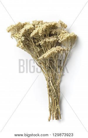 Bouquet of dried flowers yarrow on white background. The yarrow is known as an herb widely used with curative intent.