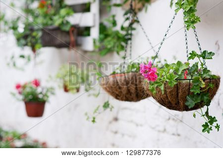 Pallet Ideas For Gardening