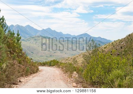 The Prince Alfred Pass with the Outeniqua Mountains in the back. At 68 km it is the longest mountain pass in South Africa