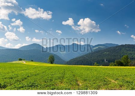 Nature In Liptov Region, Slovakia In Summer 2015