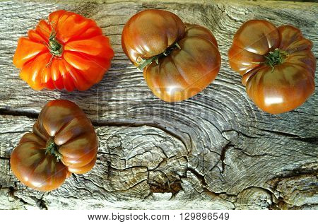 Big Black Heirloom and Oxheart organic tomatoes on wooden textured background