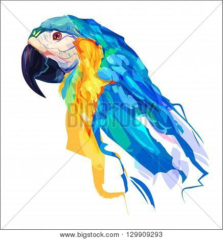 The parrot head on white background. Retro design graphic element. This is illustration ideal for a mascot and tattoo or T-shirt graphic. Stock illustration