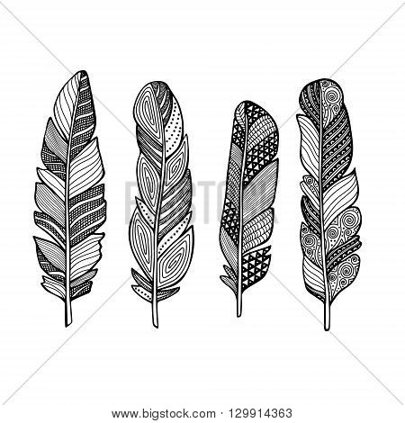 Doodle feather vector set. Hand drawn feathers with doodle ornament.