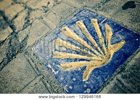 Santiago shell close up in Jaca, Huesca, Aragon, Spain.