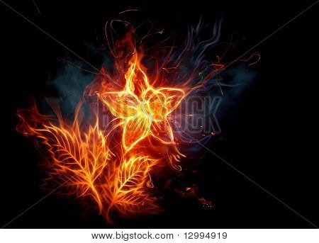 Brand blomst