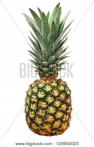Pineapple closeup with white studio background isolated