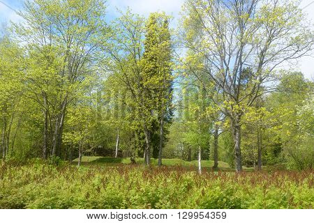 Spring landscape in Pusupuisto Park of Lappeenranta Finland.