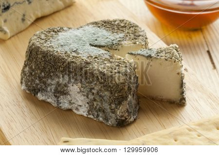 Traditional French goats cheese with edible mold