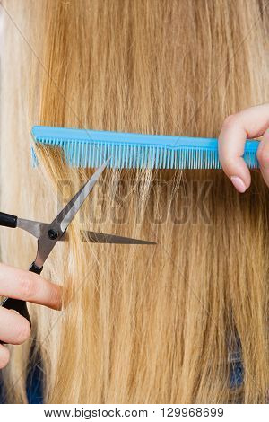 Cutting down and shearing concept. Blonde woman cuts and combing her straight smoothy fair hair. Professionalist making new coiffure hairdo.